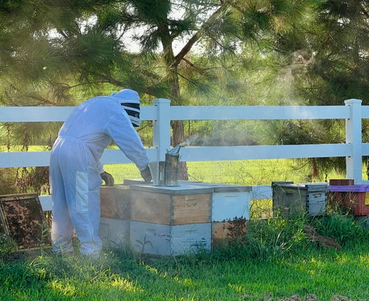 Coming Soon to the Buzz:  Our C's Bees Blog!